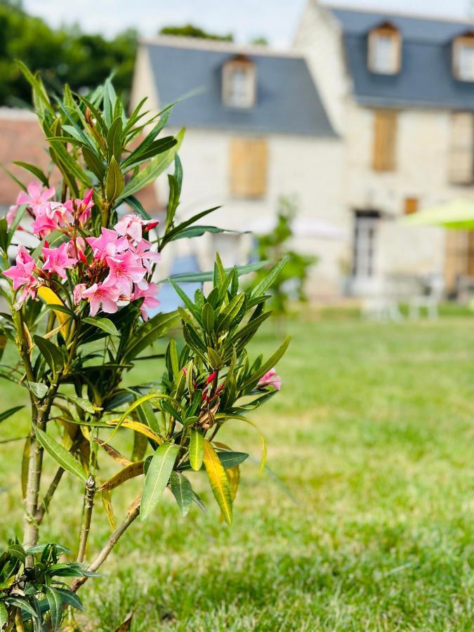 The Ronsardienne Suite In A Charming Mansion At The Gates Of Tours Saint-Avertin Extérieur photo
